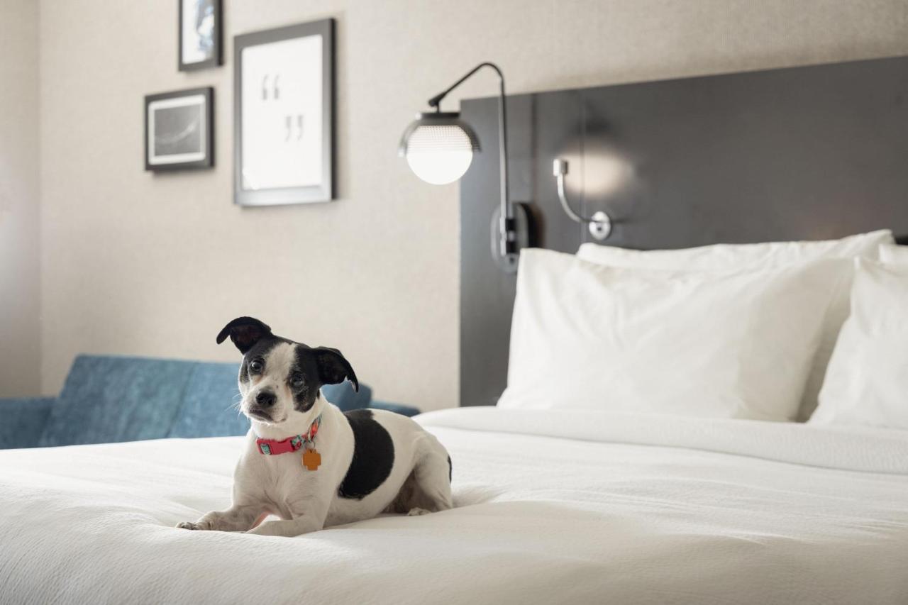 Four Points By Sheraton Milwaukee North Shore Brown Deer Kültér fotó